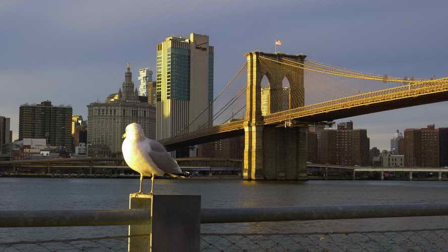 NYC_2017-11-26 15-58-54_P1140498